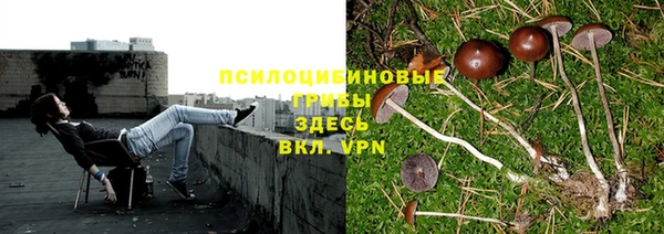 кристаллы Алзамай