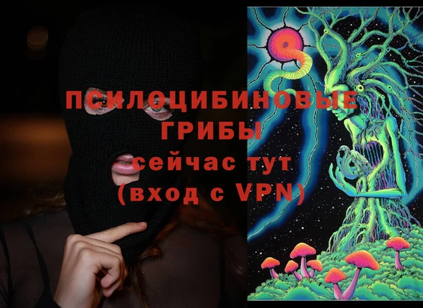 хмурый Алексеевка