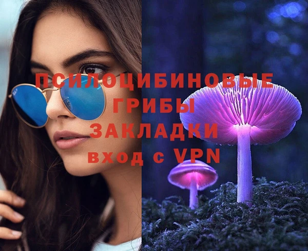 хмурый Алексеевка