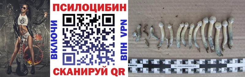 что такое   Козловка  Галлюциногенные грибы ЛСД 